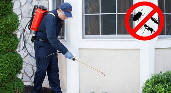 Suluova Hamam Böceği İlaçlama böcek ilaçlama ve haşere kontrolü — ilaclama-tr.com